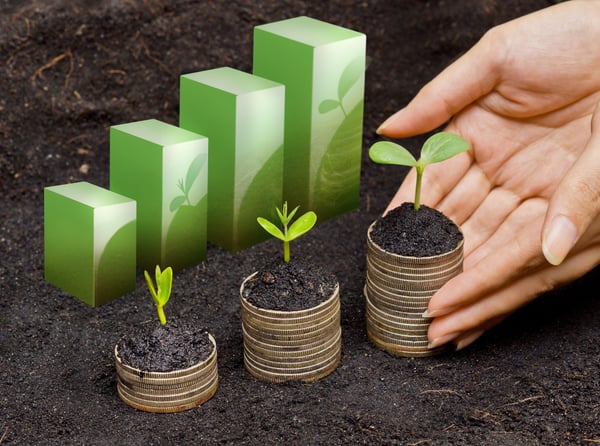 Choosing an ethical KiwiSaver fund