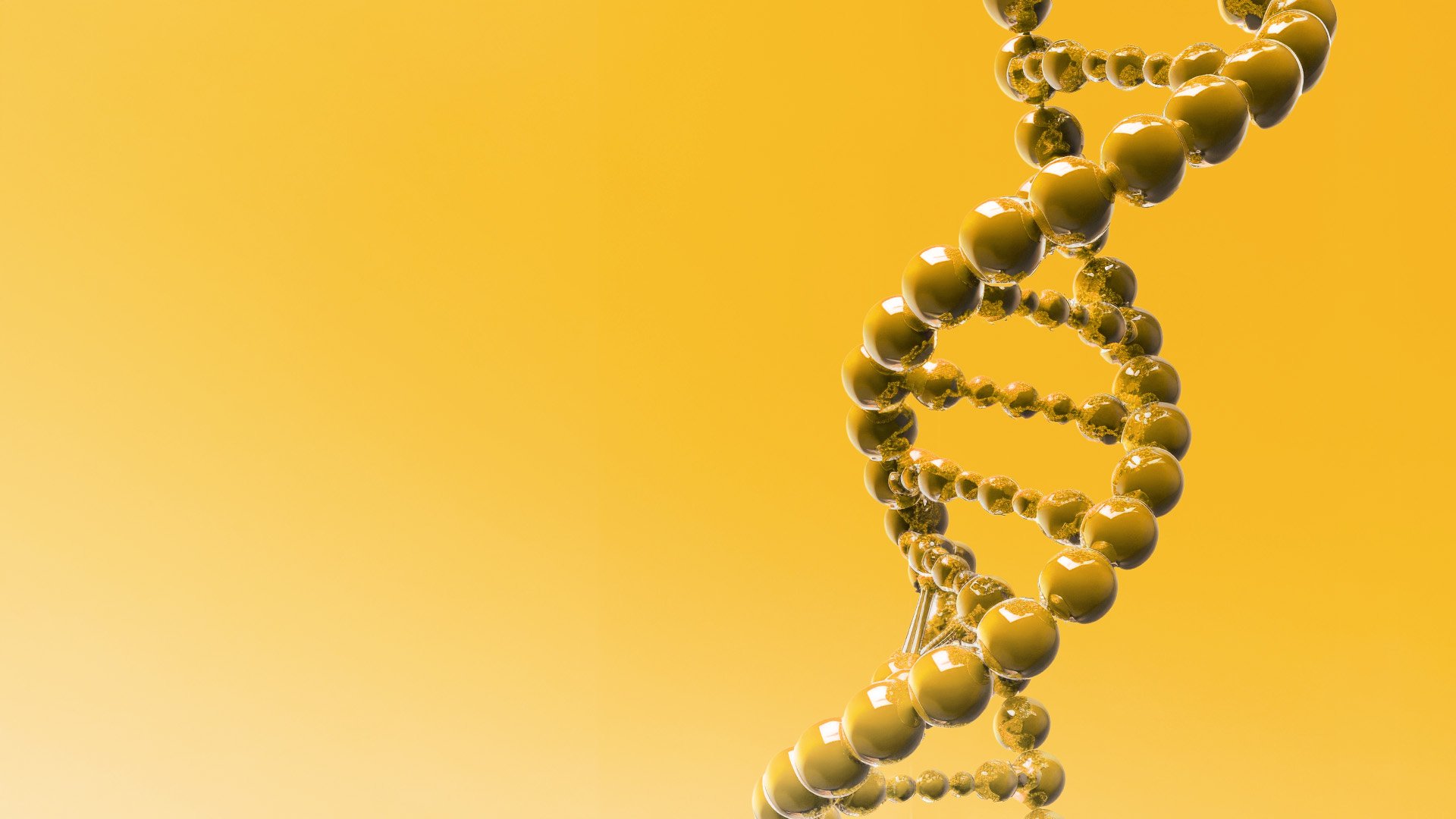 DNA on Yellow