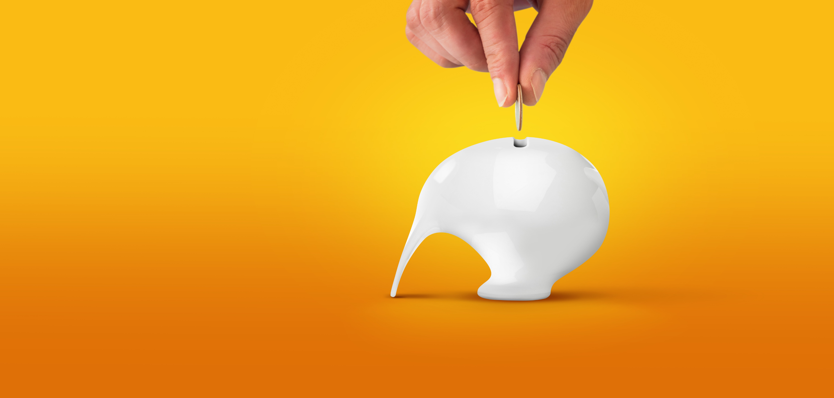 Kiwi Moneybox - small